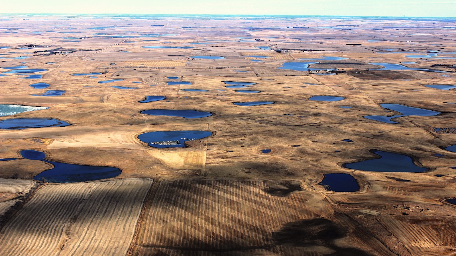 Which Wetlands to Defend? Supreme Courtroom Will Quickly Determine