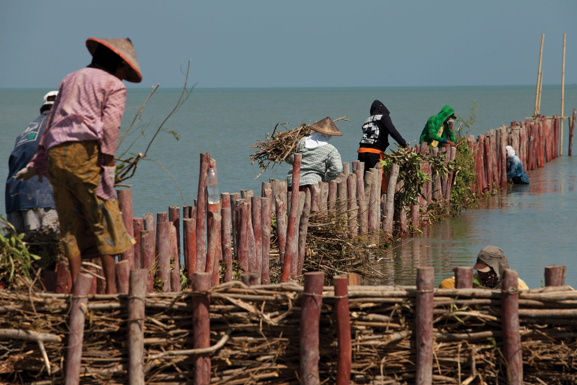 On Java’s Coast, A Pure Technique to Holding As quickly as additional the Waters