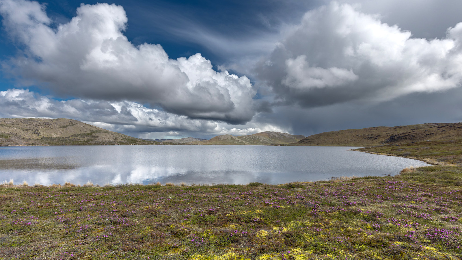 From Carbon Sink to Present: The Stark Modifications in Arctic Lakes